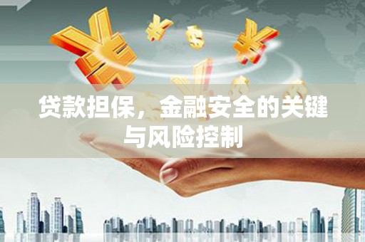 新郑贷款担保，金融安全的关键与风险控制