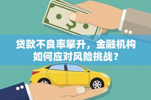 新郑贷款不良率攀升，金融机构如何应对风险挑战？