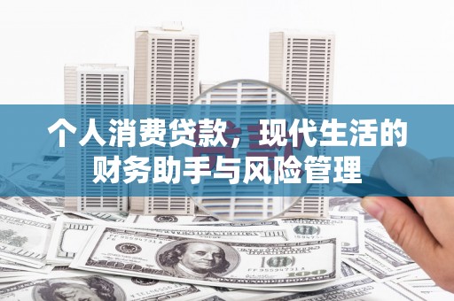 新郑个人消费贷款，现代生活的财务助手与风险管理