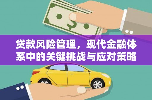 新郑贷款风险管理，现代金融体系中的关键挑战与应对策略