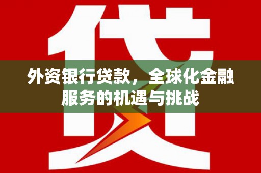 新郑外资银行贷款，全球化金融服务的机遇与挑战