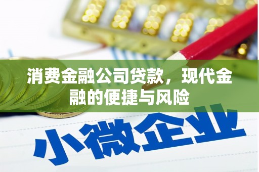 新郑消费金融公司贷款，现代金融的便捷与风险