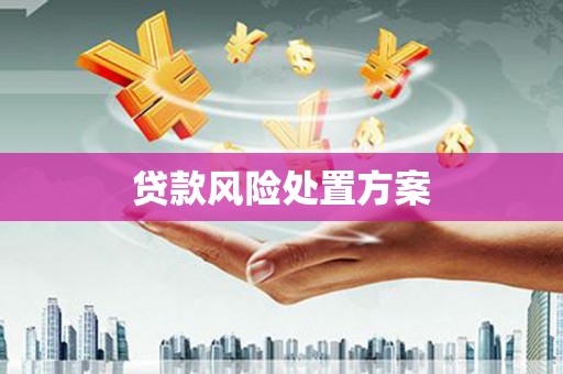 新郑贷款风险处置方案