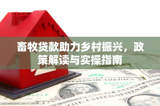 新郑畜牧贷款助力乡村振兴，政策解读与实操指南