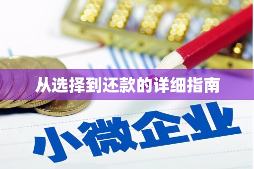 新郑从选择到还款的详细指南