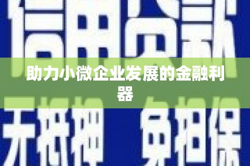新郑助力小微企业发展的金融利器
