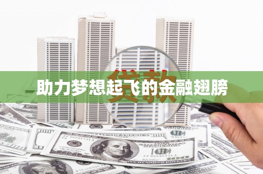 新郑助力梦想起飞的金融翅膀