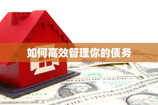 新郑如何高效管理你的债务