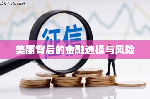 新郑美丽背后的金融选择与风险