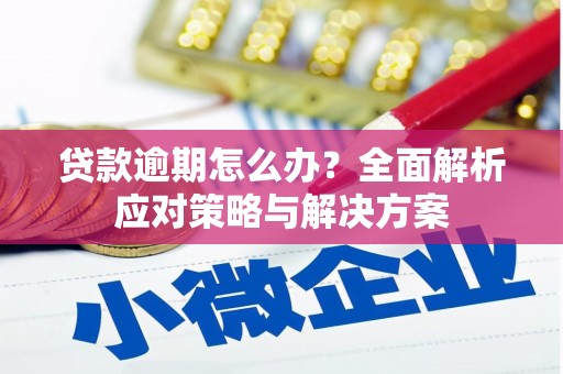 新郑贷款逾期怎么办？全面解析应对策略与解决方案