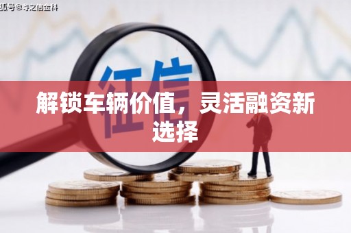 新郑解锁车辆价值，灵活融资新选择