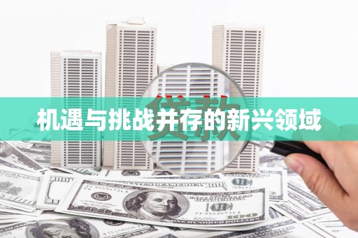 新郑机遇与挑战并存的新兴领域